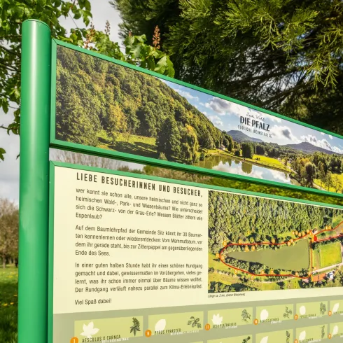 Ein Informationsschild über die Pfalz mit Bildern von der Landschaft. Die Grünflächen und der Fluss sind sichtbar, umgeben von Bäumen.