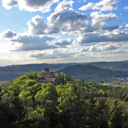 Eine malerische Aussicht auf sanfte Hügel mit reichlich Bäumen und einem historischen Burgruine. Der Himmel ist mit weißen Wolken bedeckt, die die Landschaft schön reflektieren.
