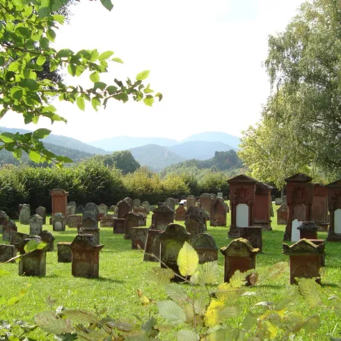 Ein ruhiger Friedhof mit vielen Grabsteinen in einer grünen Landschaft. Im Hintergrund sind sanfte Hügel und ein klarer Himmel sichtbar.