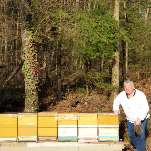 Ein Mann steht neben einer Reihe von Bienenstöcken im Wald. Im Hintergrund sind Bäume und sonniges Wetter zu sehen.