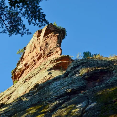 Ein felsiger Aufschluss unter einem klaren blauen Himmel. Der Felsen ist von Pflanzenbewuchs umgeben und zeigt steile Kanten.