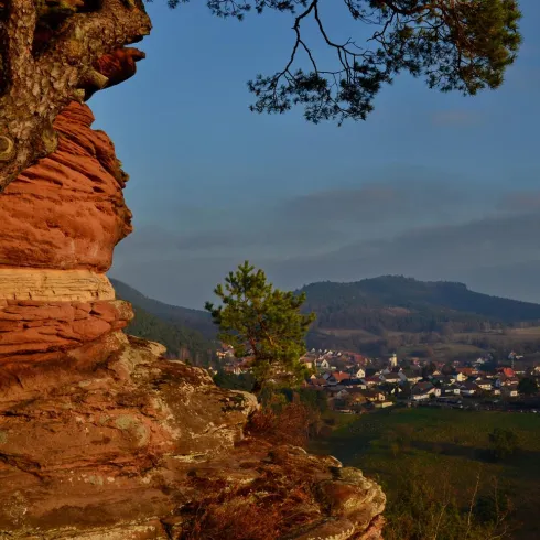 Sprinzelfelsen Busenberg (© Michael Kugler)