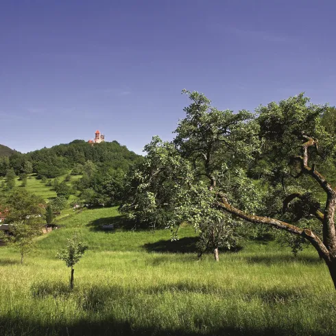 Obst- und Gartenbauverein (© Tourist Information Dahner Felsenland)