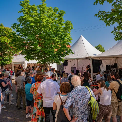 Eine lebhafte Veranstaltung im Freien mit vielen Menschen und Ständen. Im Hintergrund sind Pavillons und grüne Bäume zu sehen.