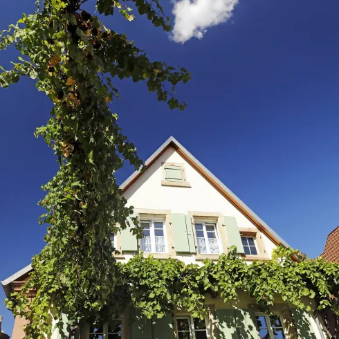 Ein charmantes Haus mit grünen Fensterläden, umgeben von üppigem Efeu. Der blaue Himmel mit wenigen Wolken verleiht der Szene eine angenehme Atmosphäre.