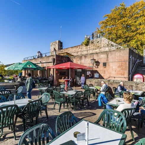 Rietburgbahn (© Verein SÜW Edenkoben, T. Kujat)