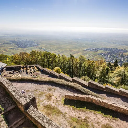 Eine malerische Aussicht von einem Berg mit gewundenen Wegen und üppiger Natur. Der Himmel ist klar und es sind sanfte Hügel im Hintergrund zu sehen.