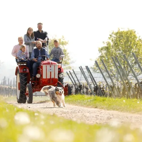 Eine Familie fährt mit einem Traktor durch ein Weinfeld. Ein Hund läuft fröhlich nebenher.