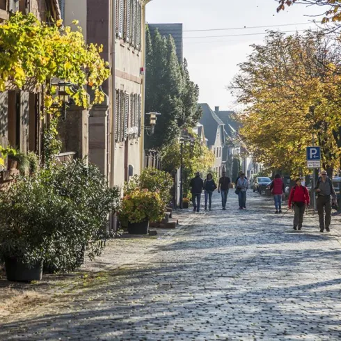 Eine malerische Straße mit alten Häusern und bunten Bäumen. Spaziergänger genießen den sonnigen Herbsttag.