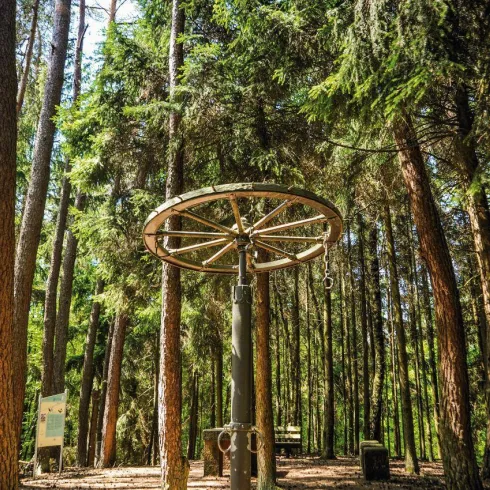 Ein Fitnessgerät im Wald, umgeben von hohen Bäumen. Der Boden ist bedeckt mit Laub und die Umgebung wirkt ruhig und naturnah.