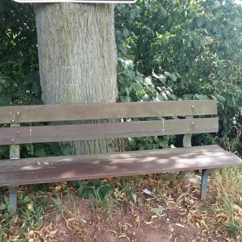 Eine einfache Holzbank steht unter einem Baum, umgeben von grünen Sträuchern. Daneben befindet sich ein Abfallkorb.