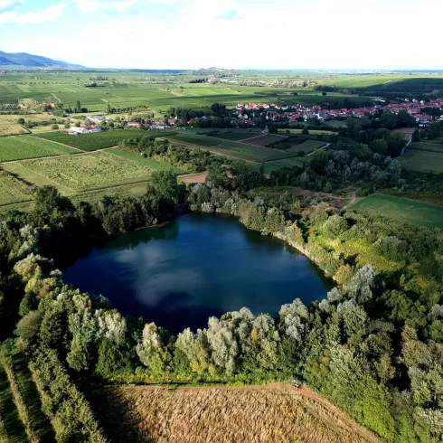 Luftaufnahme Biotopweiher Alte Tongrube