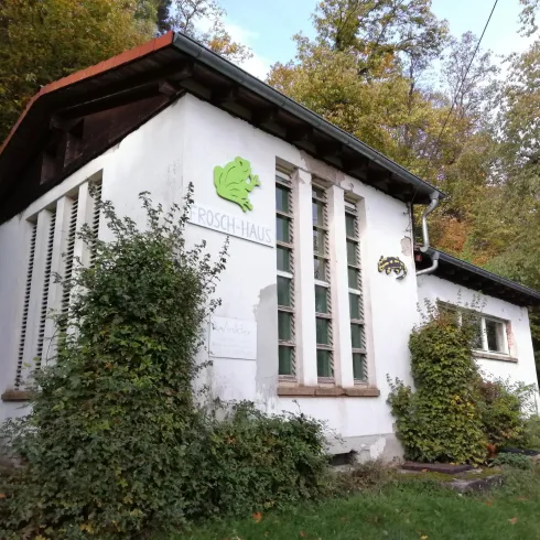 Ein kleines, modernes Häuschen umgeben von Bäumen und Pflanzen. Das Gebäude hat große Fenster und ein rotes Dach.