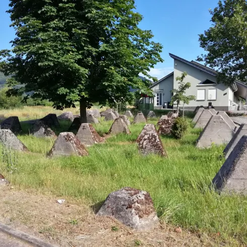 Ein Stück Land mit mehreren Betonpyramiden und hohem Gras. Im Hintergrund steht ein Haus und ein großer Baum.