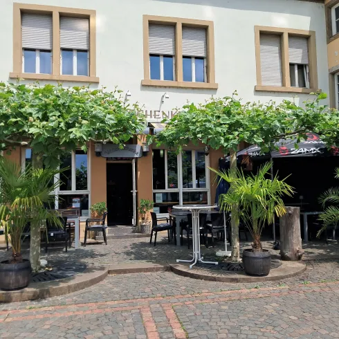 Ein gemütliches Restaurant mit einem einladenden Außenbereich. Über den Tischen wuchern grüne Pflanzen und es gibt stilvolle Sitzgelegenheiten.