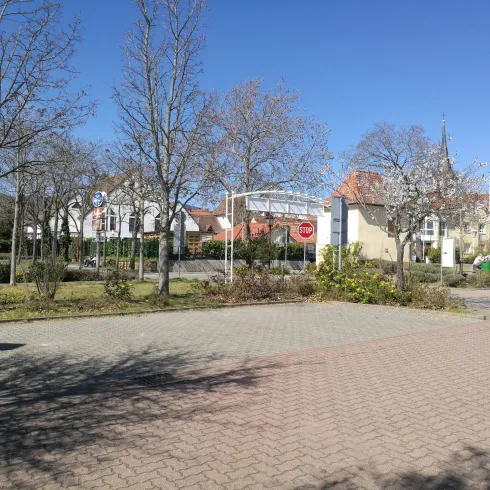 Eine ruhige Straße mit Bäumen und modernen Gebäuden. Der Himmel ist klar und blau.