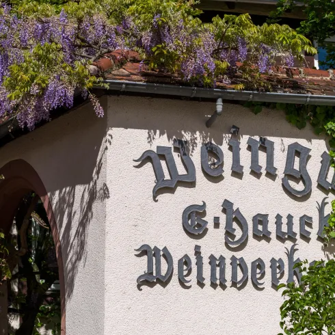 Fassade Weingut (© Bernhard Wingerter) Fassade Weingut (© Bernhard Wingerter)