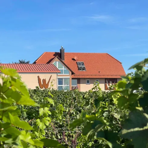 Weingut Eberhard Wilhelm Maikammer