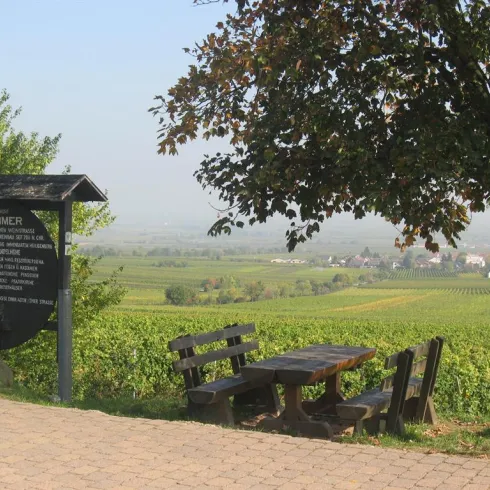 Weinlehrpfad (© Büro für Tourismus Maikammer)