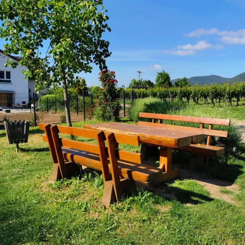 Ein einladender Außenbereich mit Holztischen und Bänken. Im Hintergrund sind Weinreben und ein blauer Himmel zu sehen.