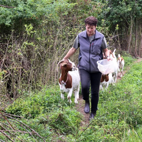 Wandern mit Ziege "Else" (© Norman Krauß) Wandern mit Ziege "Else" (© Norman Krauß)
