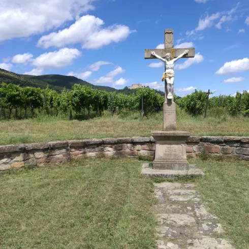 Ein Kreuz steht in einem Landschaftsbereich mit Weinreben. Der Himmel ist blau mit einigen Wolken und im Hintergrund sind Hügel zu sehen.