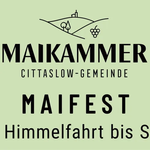 Ein Banner für das Maifest in Maikammer. Es zeigt Symbole für Wein und Feiern, mit dem Datum Christi Himmelfahrt bis Sonntag.