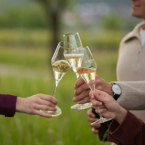 Weingut_Schreieck_1426 (© Wein- und Sekthaus Schreieck) Weingut_Schreieck_1426 (© Wein- und Sekthaus Schreieck)