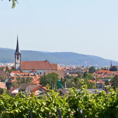 Eine malerische Landschaft mit einem kleinen Dorf und einer Kirche im Hintergrund. Im Vordergrund sind Weinreben zu sehen.