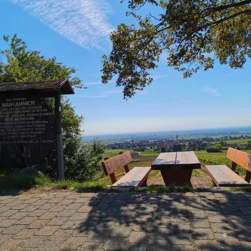 Am Wanderweg Deutsche Weinstraße (© Büro für Tourismus Maikammer)