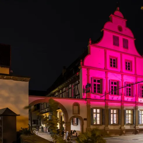 Ein historisches Gebäude, das in der Nacht in pinkes Licht gehüllt ist. Der schöne Baustil wird durch die Beleuchtung hervorgehoben.