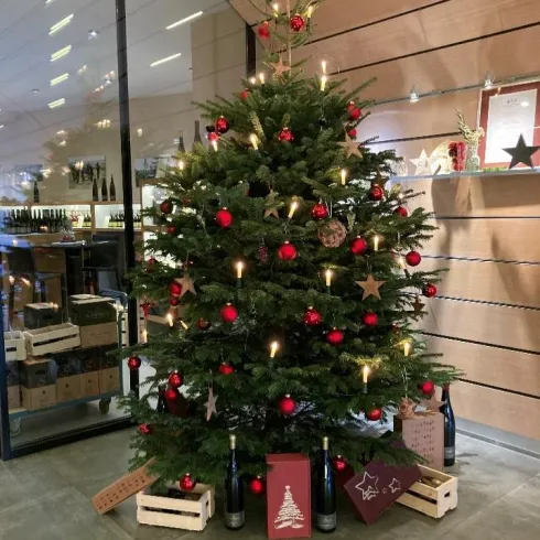 Ein festlich dekorierter Weihnachtsbaum steht in einem modernen Raum. Er ist mit roten Kugeln, Lichtern und Geschenkboxen geschmückt.