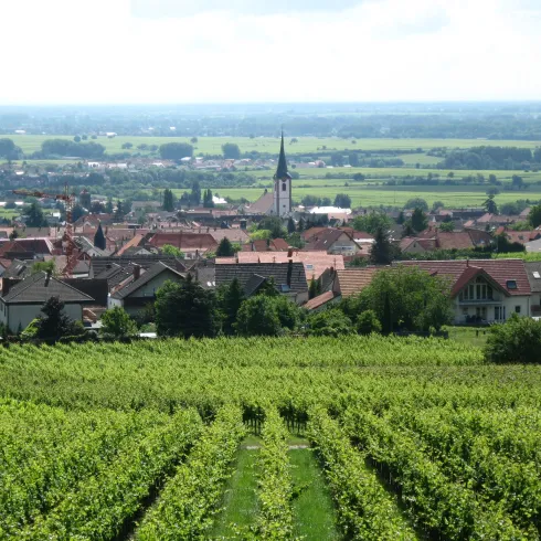 Weinort Maikammer