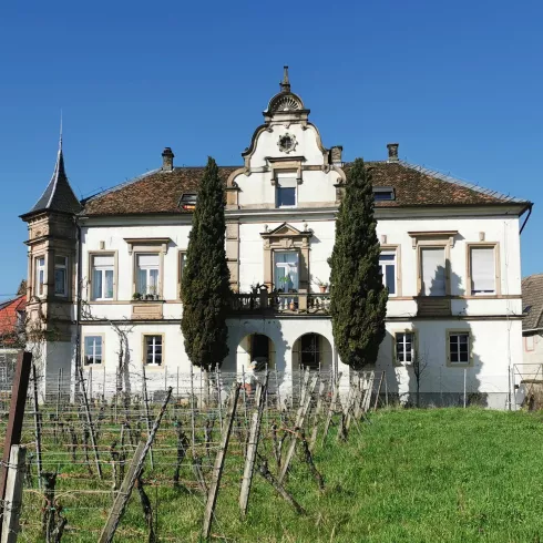 Kredenburg (© Büro für Tourismus Maikammer)