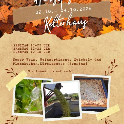 Ein Herbstfest mit bunten Blättern im Hintergrund. Es werden Wein, Speisen und Kürbissuppen angeboten.