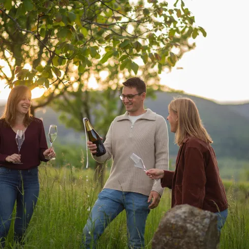 Drei Freunde feiern im Freien und stoßen mit Champagnergläsern an. Im Hintergrund sind sanfte Hügel und ein Sonnenuntergang zu sehen.