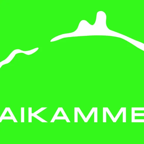 Ein einfaches, modernes Logo mit der Aufschrift "MAIKAMMER" in Weiß auf grünem Hintergrund. Die stilisierte Darstellung eines Hügels oder Berges ist ebenfalls in Weiß.