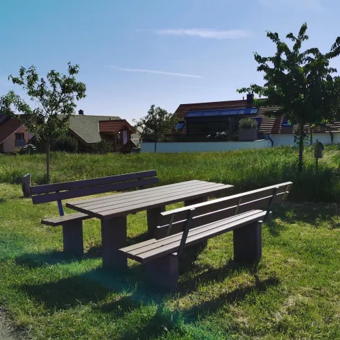 Ein Sitzbereich mit Holztischen und Bänken in einer grünen Umgebung. Im Hintergrund sind Häuser und Bäume zu sehen.