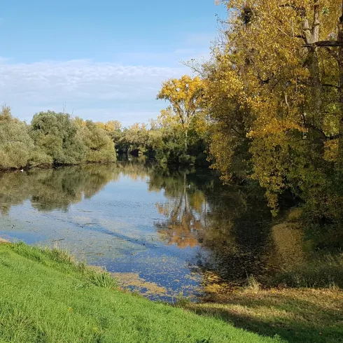 Ein ruhiger Fluss umgeben von Bäumen mit herbstlichem Laub. Der Himmel ist blau und wolkenlos.