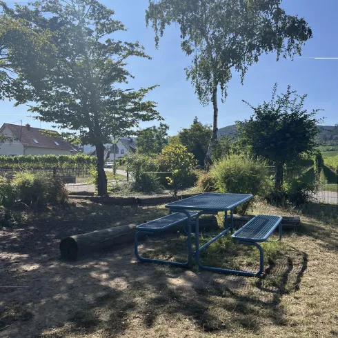 Ein ruhiger Park mit einem Tisch und Bänken unter Bäumen. Im Hintergrund sind Sträucher und ein klarer Himmel zu sehen.