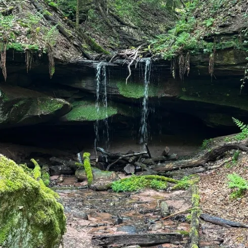 Ein kleiner Wasserfall fließt über moosbedeckte Felsen in einem grünen Wald. Das sanfte Wasser spiegelt die ruhige Atmosphäre der Natur wider.