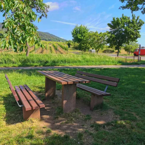 Im Letten - Maikammer (© Büro für Tourismus Maikammer)