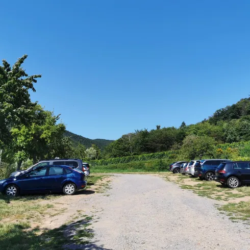 Ein Parkplatz umgeben von Bäumen und sanften Hügeln. Der Himmel ist klar und blau.