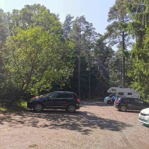 Ein Parkplatz in einem Waldgebiet mit mehreren Fahrzeugen. Im Hintergrund sind hohe Bäume und eine entspannte, naturnahe Atmosphäre zu sehen.