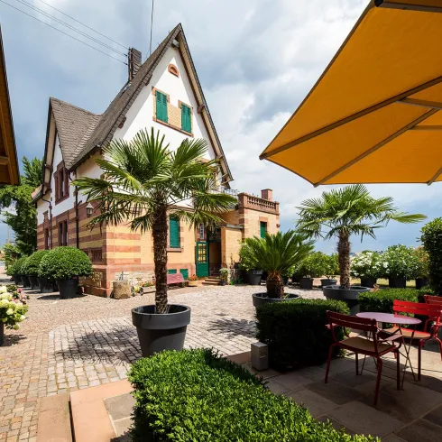 Terrasse_Weingut (© Weingut Faubel)