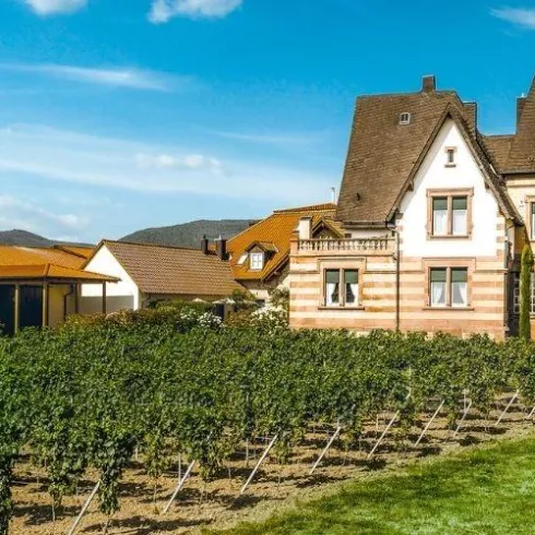 Ein malerisches Haus neben Weinbergen und unter einem blauen Himmel. Die Umgebung ist grün und einladend.