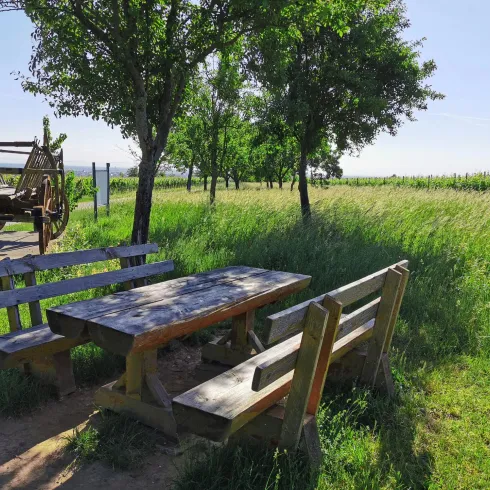 Ein schöner Picknicktisch aus Holz steht in einer grünen Wiese unter Bäumen. Im Hintergrund sieht man eine alte Holzkarre.