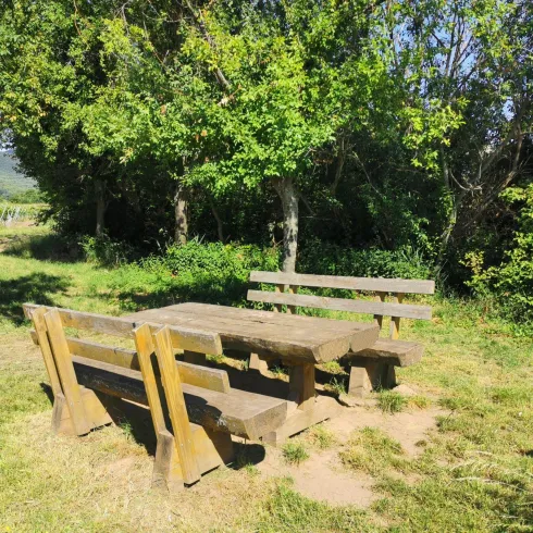 Am Hitschbach (© Büro für Tourismus Maikammer)