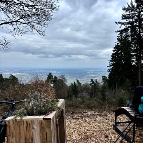 Ein ruhiger Ausblick von einem Waldhang auf eine weite Landschaft. Im Vordergrund steht eine Holzbank und eine Pflanzbox.