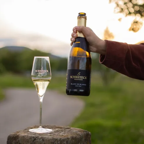 Eine Flasche Sekt wird in der Hand gehalten, während ein Glas bereitsteht. Die Szenerie zeigt eine malerische Landschaft mit sanften Hügeln im Hintergrund.